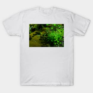 Moss & Miterwort T-Shirt